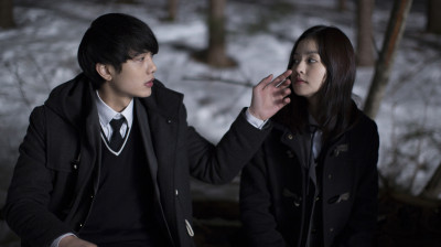 Мразовита зима (2013)