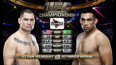 Fabrício Werdum vs Cain Velasquez (2015)
