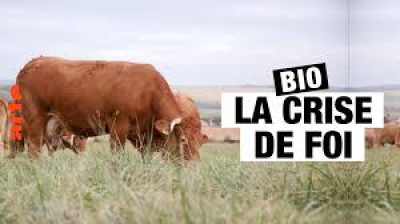 Bio, la crise de foi