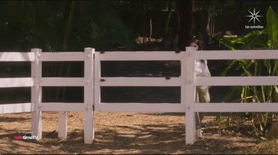 Monteverde Episodio 2