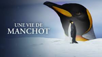 Une vie de manchot