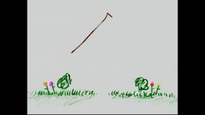 Neighborhood Animals 2004 DVD