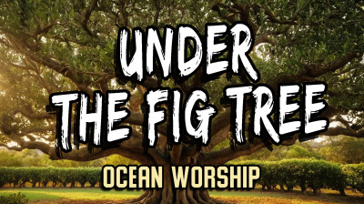 "Under the Fig Tree" - Ocean Worship Music | Intimate Worship & Peaceful