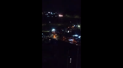 El espíritu del bosque